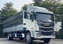 Ngủ mơ thấy xe tải may hay xui đánh con gì vượng phát?