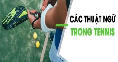 Giải thích các thuật ngữ tennis cho người mới bắt đầu