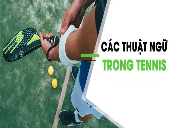 Giải thích các thuật ngữ tennis cho người mới bắt đầu