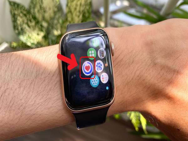 Cách đo huyết áp trên Apple Watch đơn giản và hiệu quả