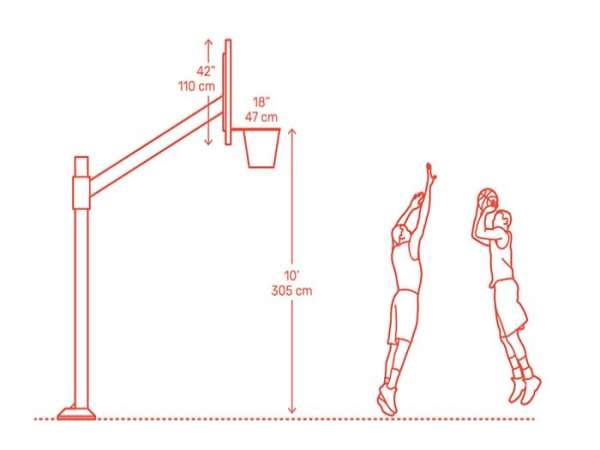 Chiều cao rổ bóng rổ NBA: Vì sao lại là 3.05m?