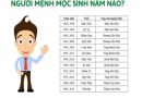 Mệnh Mộc sinh năm nào mới thực sự may mắn?