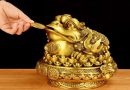 Cóc Thiềm Thừ đặt ở đâu để phát huy tối đa công dụng?