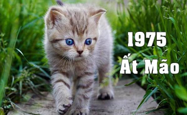 Luận giải con số đẹp tuổi Ất Mão 2/3/2025 tăng vận may