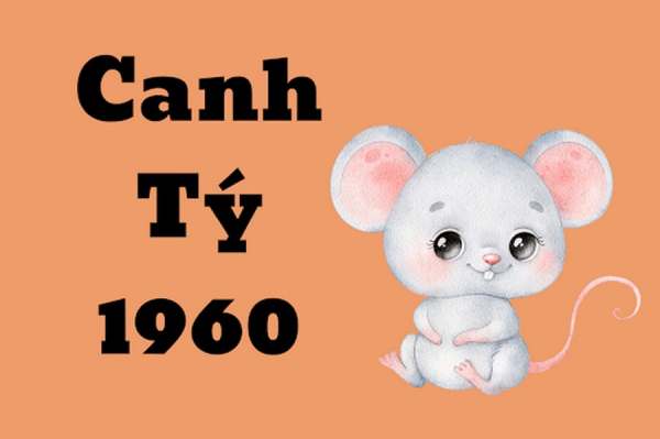 canh tý