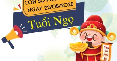 con số gia tăng vận may tuổi Ngọ ngày 22/5/2025