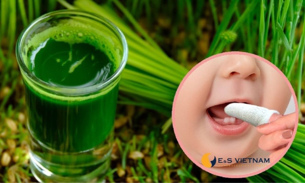 Rơ miệng bằng nước lá hẹ – mẹo dân gian lành tính