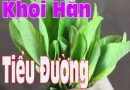 Bật mí các bài thuốc nam chữa tiểu đường được tin dùng