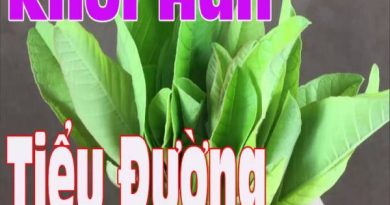 bài thuốc chữa tiểu đường