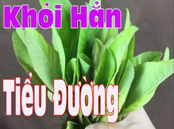 bài thuốc chữa tiểu đường