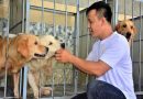 Bí quyết làm giàu từ nghề nuôi chó tại nhà thành công