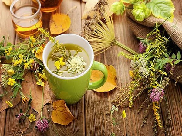Một số thảo dược hỗ trợ dạ dày an toàn cho mẹ bầu