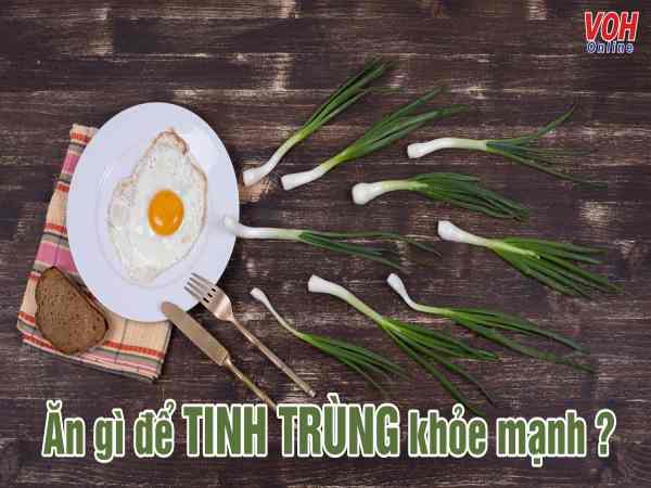 Trứng – Tăng cường sức khỏe tinh trùng